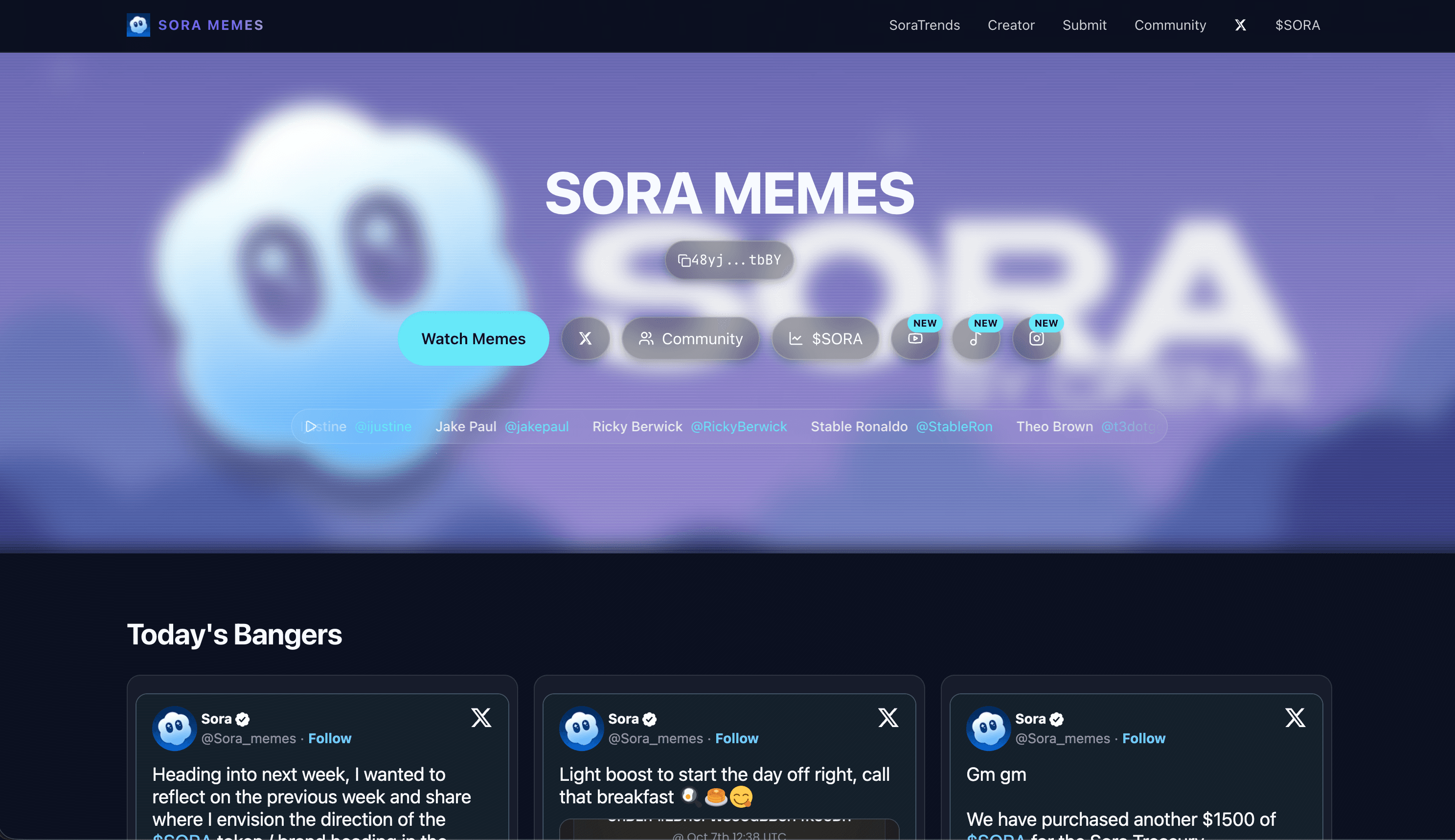 Sora Memes
